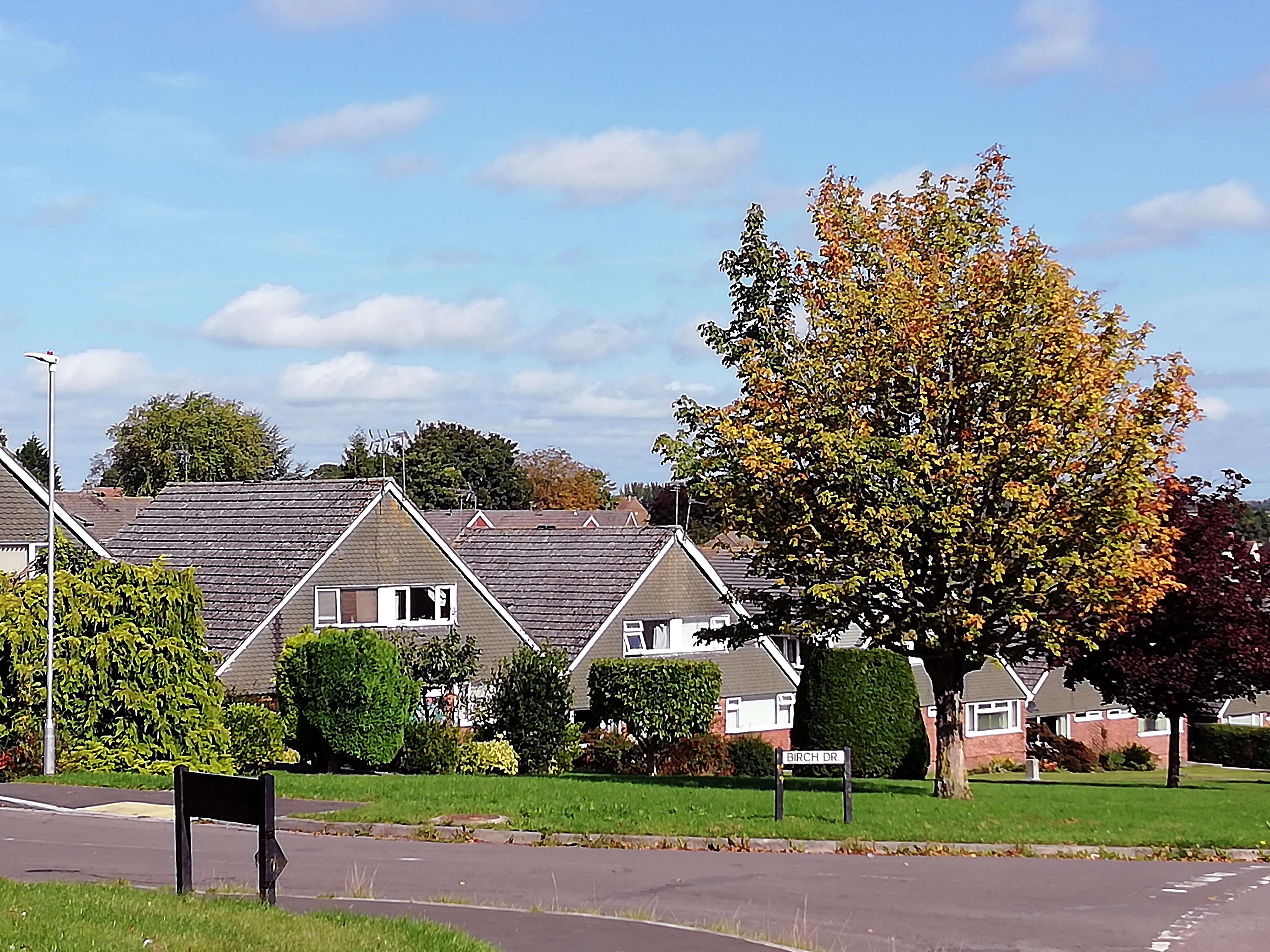 oaktree avenue